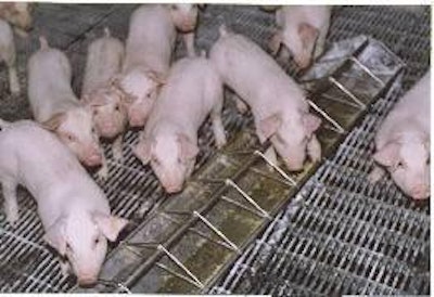 Retail pork prices are expected to drop only slightly in 2012.