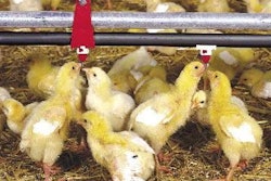 The Indian poultry industry has lost 250,000 birds due to unfavorable weather conditions.