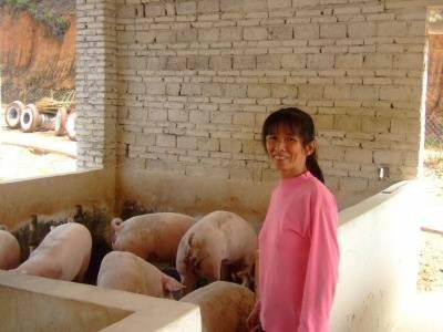 Pork production using western-style breeds is especially evident in China's centre-south coastal belt.