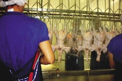 The neck without the head has an average weight of 80g