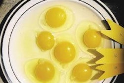 Egg yolk color is usually measured under field conditions using a series of standard reference colors printed onto plastic strips.