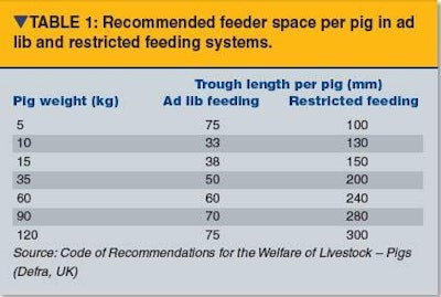 Feeder space requirements increase more with pig size on a restricted feeding regime than on ad lib.
