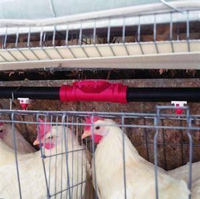 Water for hens a frequently overlooked element that has a bottom-line impact.
