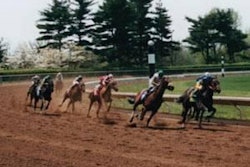 Because exercise increases oxidative stress and metabolism, leading to increased mobilization of tissue selenium to meet these demands, equine athletes have greater selenium needs than other equines.