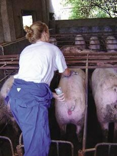 Working with intervals greater than one week, the labour activity of breeding always occurs in the week after weaning.