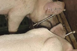 More pig feed was supplied by European feedmills in 2007.