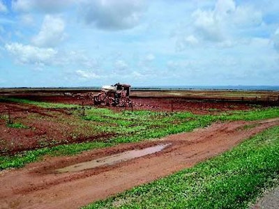 Agriculture is still in its infancy in the wide open spaces of Mato Grosso, central Brazil, but it is already starting to attract the pork integrators who have established networks in the south of the country.