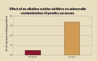 Best practices for controlling salmonella in poultry processing ...