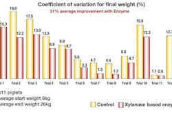 Adding a feed enzyme improved daily gain by more than 5 percent and feed conversion by 4.5 percent.
