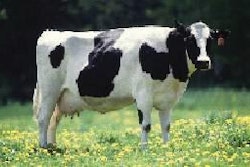 Joint meetings of ADSA and ASAS provide an international forum for those in the animal and dairy science industries to assemble vital information on the future of animal agriculture.