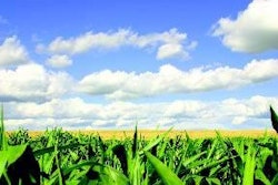 0807 Pi Gtalkingpork1 Opt