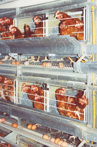 Many consumers have no objection to buying eggs from caged hens