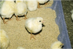 A structured approach to defining objectives, standards and operational procedures can improve performance.