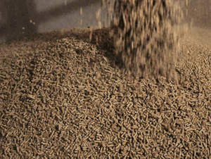 Alltech: Global compound feed production up 2.4 percent | WATTPoultry.com