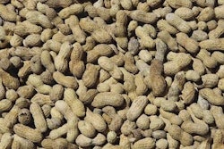Alternative feed ingredients, like peanut meal, can help lower total feed costs, but can also lead to increased variability of nutrient content of the finished feed.