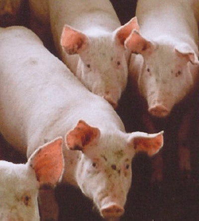 Pork exports for 2012 are up 2.8% from 2011 numbers.