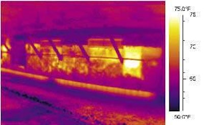 Infrared photography reveals a reduction in insulation effectiveness due to damage from darkling beetles.