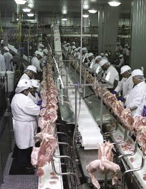Improving your deboning yield | WATTPoultry.com