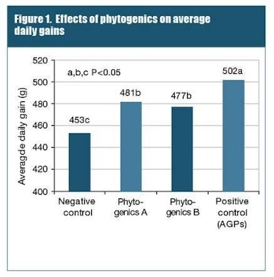 In a Kansas State University trial, growth performance was greatly improved over the control group when AGPs or phytogenics were added to the diet.