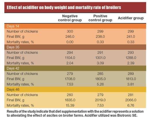 Feeding to reduce ascites in poultry | WATTPoultry.com