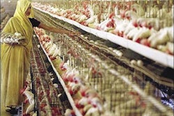 While traditional methods remain, the Indian market is increasingly modern.