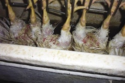 Scalders are one of the areas where alternative energy can be utlilised.