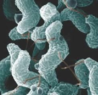 Estimates put the number of cases of human campylobacteriosis per annum in the EU27 at 9 million.