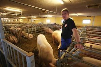 Laursen is shown in the new gestation unit which is equipped with Egebjerg’s free access stalls in T-pens.