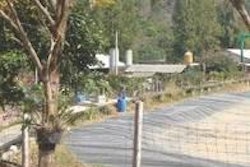 Udomdate Farm operated by Udomdate Teerasatayakul in Thailand is part of a five-farm family complex with 100,000 pigs.