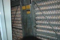 Temperature is the parameter that most influences the embryonic growth rate.