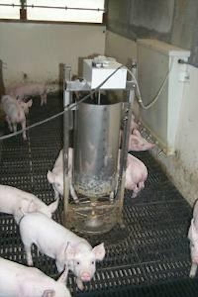 Las nuevas investigaciones muestran que el destete de cerdos a una fecha más tardía impulsa las utilidades