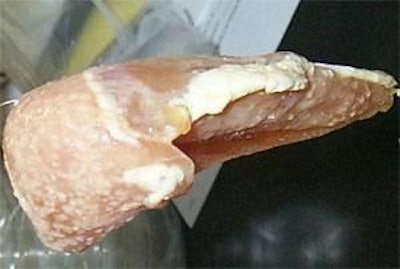Filete de pechuga podrido mostrando las diminutas colonias que formarán el recubrimiento baboso