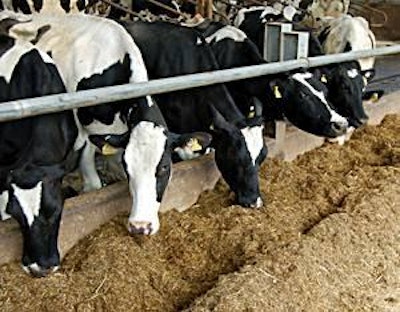 UFAC-UK sees potential with Omega-3 products improving dairy cow performance.