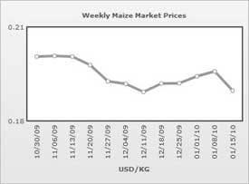 Precios de ma&iacute;z en Brasil