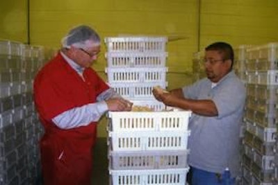 Chick quality is a primary concern. Batches are examined by Neal Martin, vice president of operations (left) and Luis Soto, hatchery manager (right), at Brickland Hatchery in Blackstone, Va.