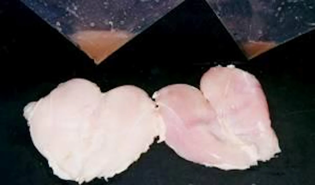 Over Processed Chicken 5 processing tips from Poultry 101 | WATTPoultry.com