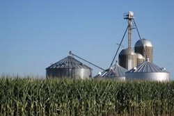 One year ago, the Senate overwhelmingly passed the farm bill, but House leaders never brought the measure up for a vote.