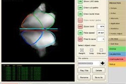 The DSI Adaptive 3D Portioning system offers the ability to create two, four, six, or more, portions per butterfly.