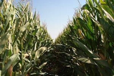 A California Assembly bill, AB 523, has been introduced that would end state ethanol subsidies; organizations such as the California Poultry Federation and Western United Dairymen have given their support.