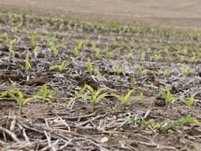 Only 2% of Iowa's 2011 corn acreage has been planted through April 17, compared with 16% at this time a year ago, according to the U.S. Department of Agriculture.