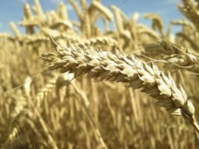 UK-based Ensus will close down its bioethanol plant for up to four months in response to global grain prices and low demand.