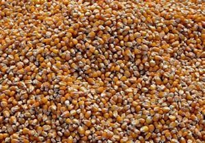 Rising poultry feed prices have Ghana farmers calling for the government to provide a buffer stock of yellow corn to help the industry.