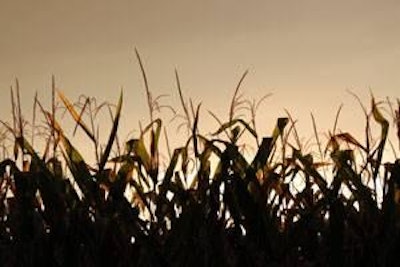 For the 2011 growing season, ethanol will consume 40% of the corn crop, requiring livestock and poultry producers to replace diverted corn and more expensive soybean meal in diets.