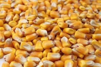 China imported 540,000 metric tons of U.S. corn in the year beginning September 1.