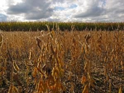 Brazil is expected to produce 55 million tons of corn and 72.5 million tons of soybeans in the 2011-2012 season.