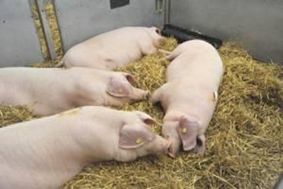 1108 Pi Gwelshpig