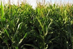 Each 56-pound bushel of corn will produce 2.8 gallons of ethanol and 17.5 pounds of DDGS, which may offer an opportunity for all U.S. egg producers to lower cost of rations in the wake of high corn prices and increasing demand of ethanol.