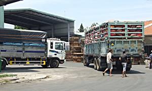 Vietnam animal feed producer expanding business, focuses on safety ...
