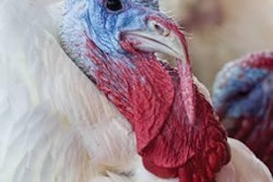 Arkansas and Virginia both increased the number of turkeys produced in 2011.