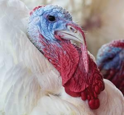 Arkansas and Virginia both increased the number of turkeys produced in 2011.